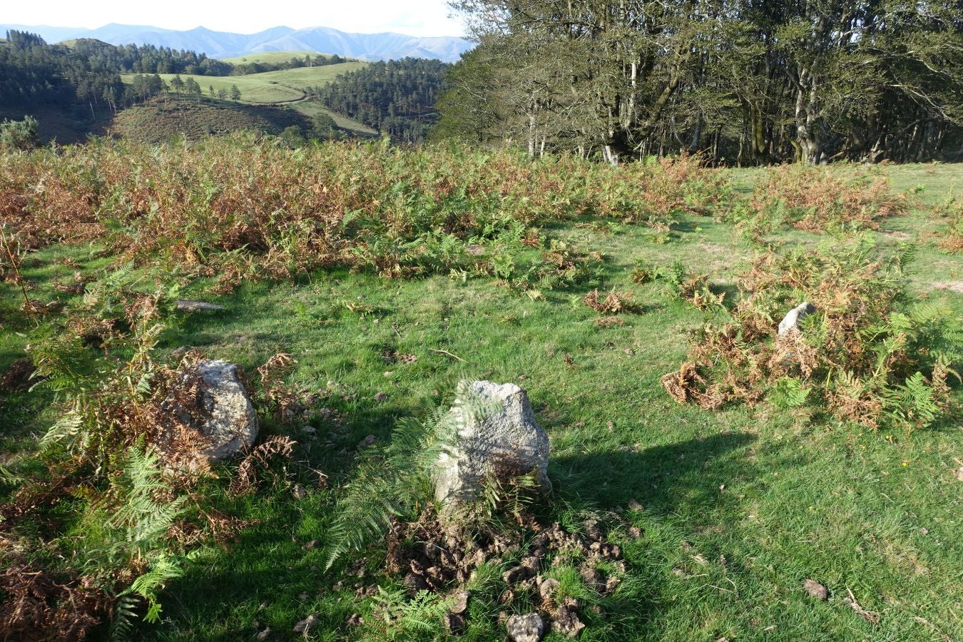 Fotos: Ruta a Basate pasando por el crómlech de Oianleku