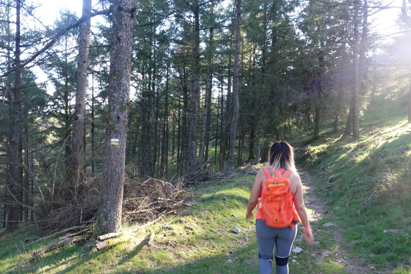 Fotos: Ruta a Basate pasando por el crómlech de Oianleku