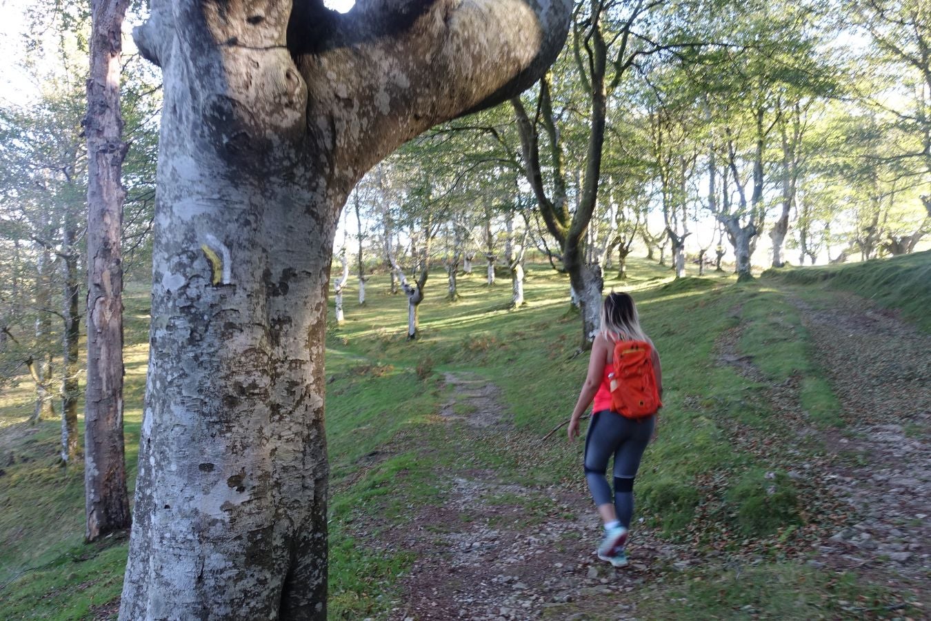 Fotos: Ruta a Basate pasando por el crómlech de Oianleku