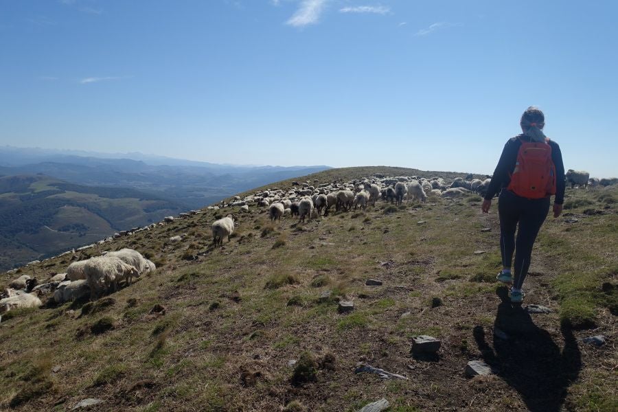 Fotos: Adi: una cima navarra para disfrutar del Otoño
