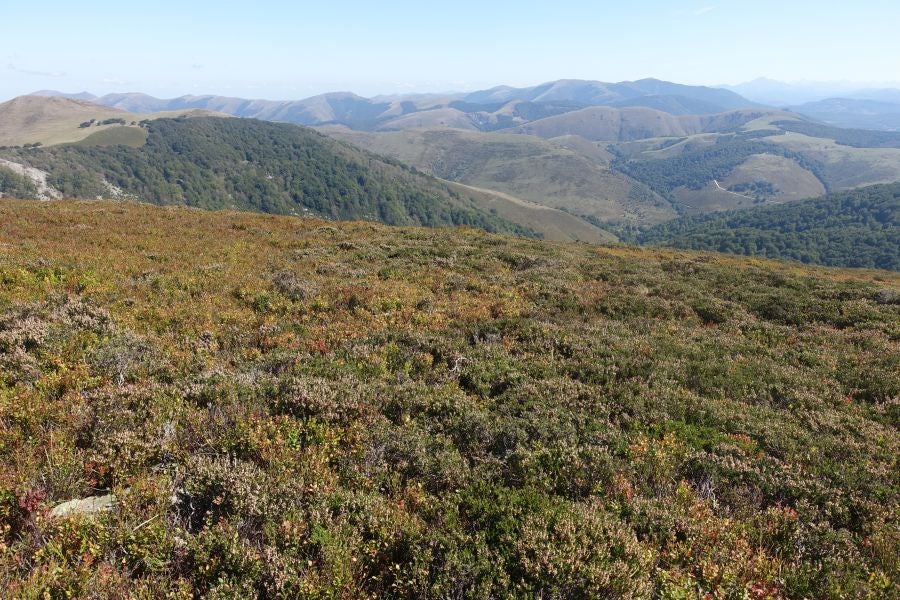 Fotos: Adi: una cima navarra para disfrutar del Otoño