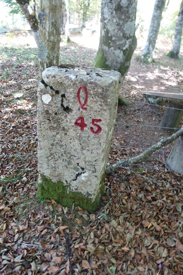 Fotos: Adi: una cima navarra para disfrutar del Otoño