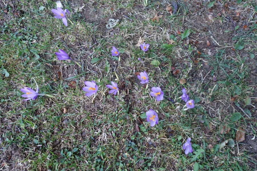 Fotos: Adi: una cima navarra para disfrutar del Otoño