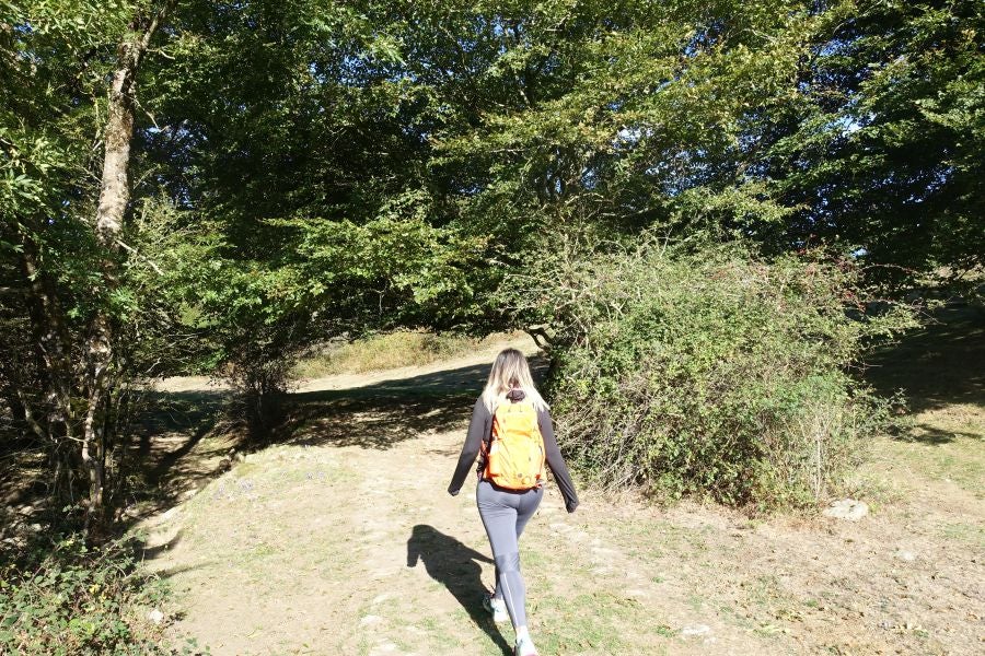 Fotos: Adi: una cima navarra para disfrutar del Otoño