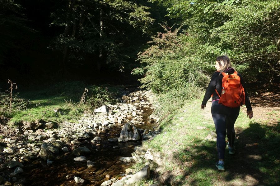 Fotos: Adi: una cima navarra para disfrutar del Otoño