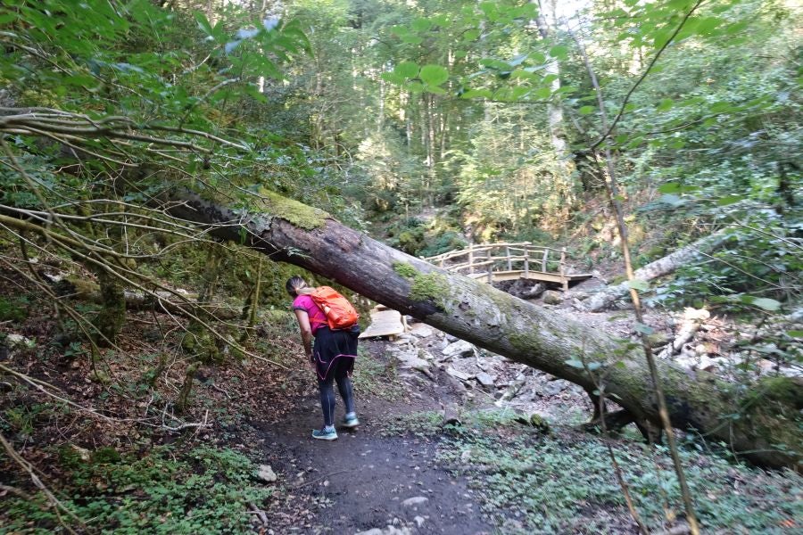 Fotos: Adi: una cima navarra para disfrutar del Otoño