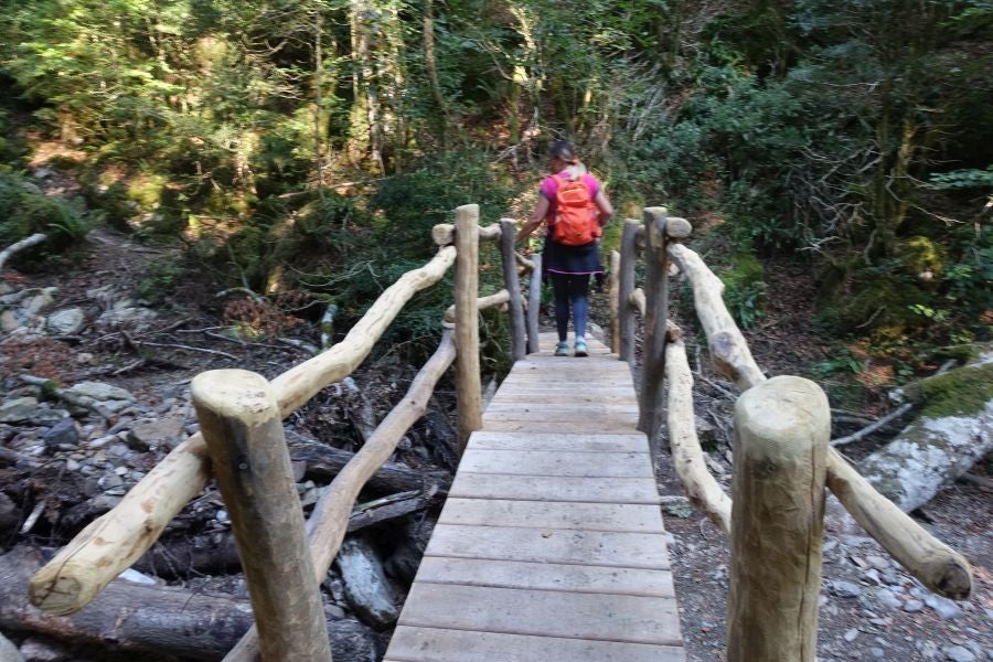 Fotos: Adi: una cima navarra para disfrutar del Otoño