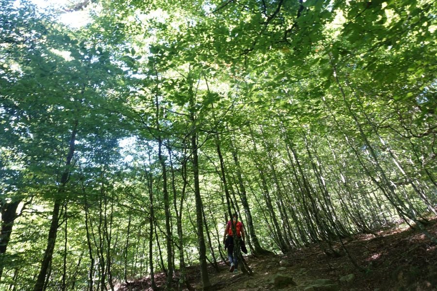 Fotos: Adi: una cima navarra para disfrutar del Otoño