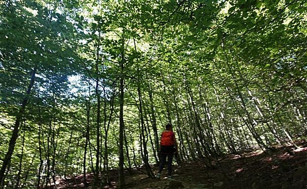 Imagen principal - Adi, ruta circular y track desde Sorogain