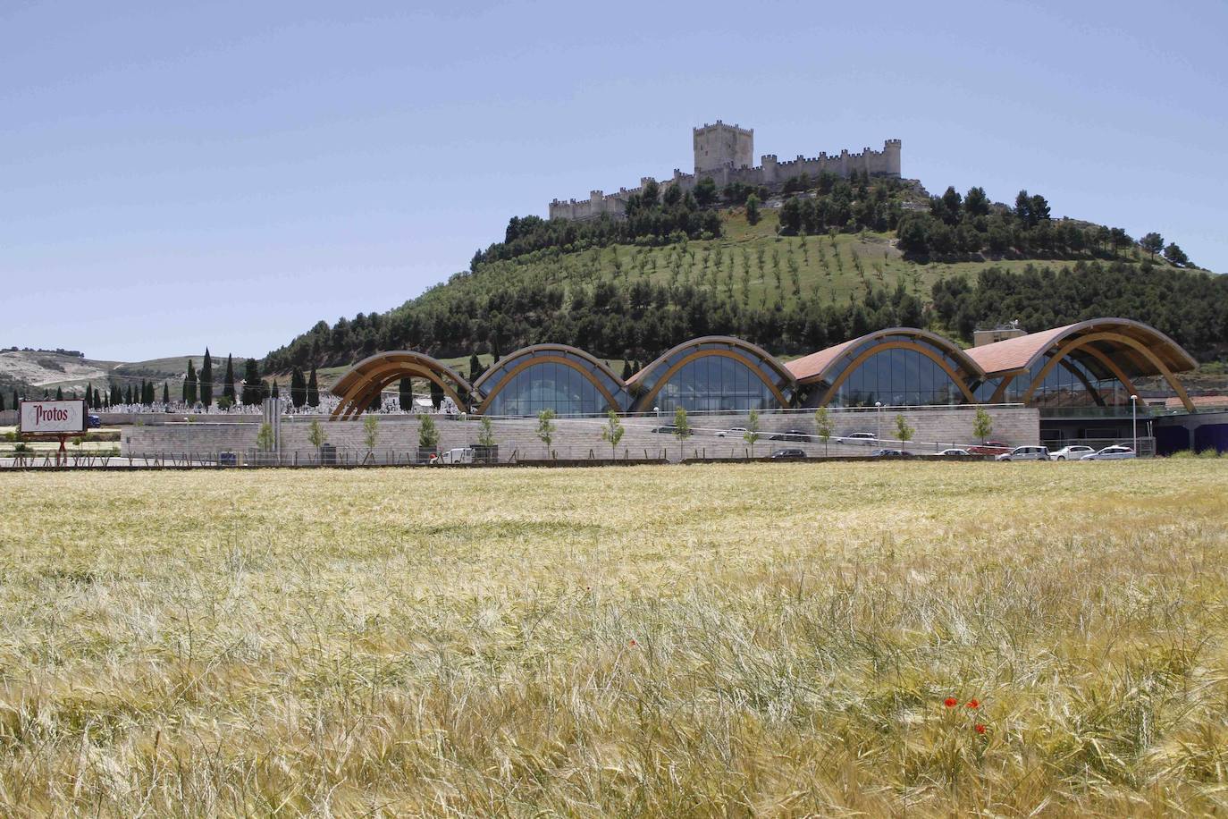 Bodegas Protos, Peñafiel. Su castillo es de 1917 y es considerado un monumento.