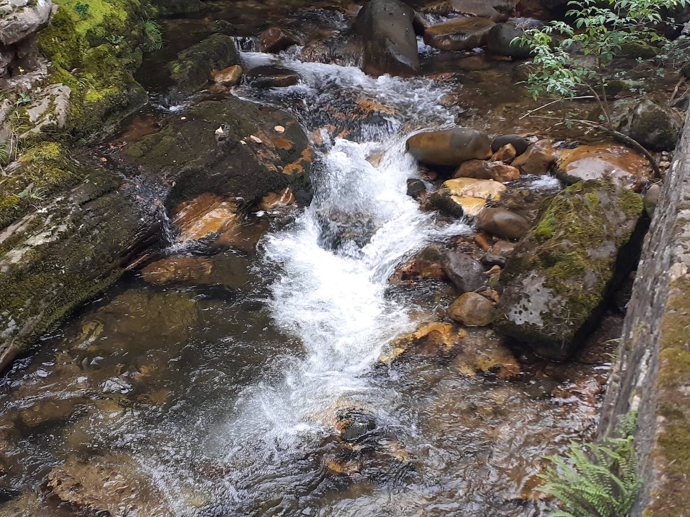 Fotos: Entre bosques encantados y ríos