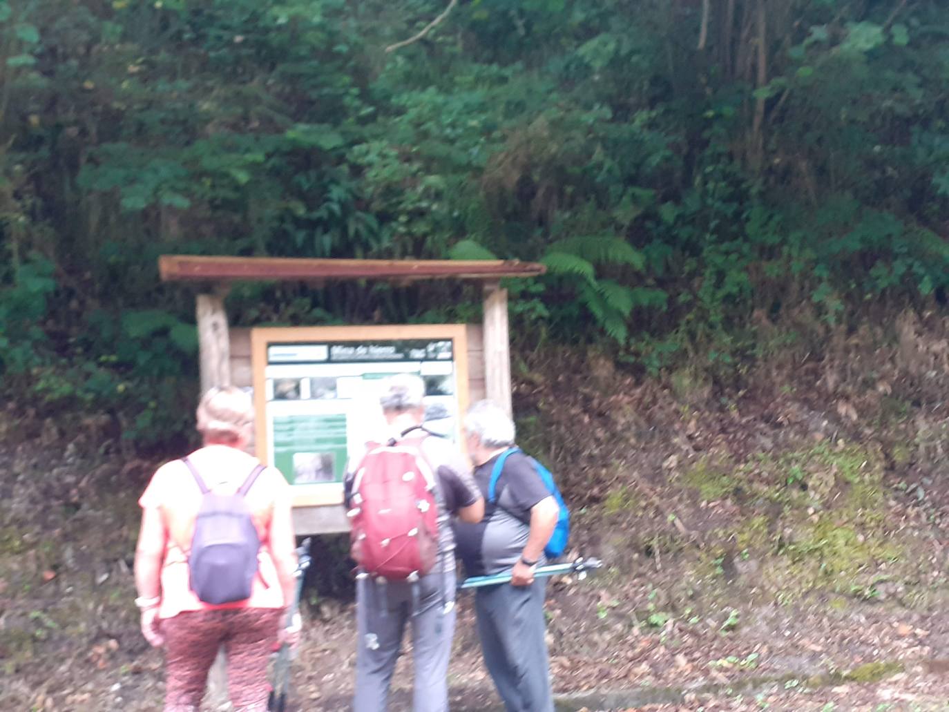 Fotos: Entre bosques encantados y ríos