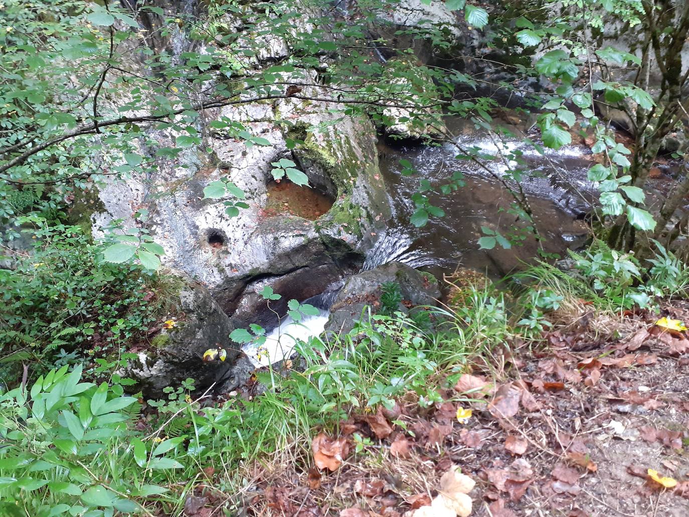 Fotos: Entre bosques encantados y ríos