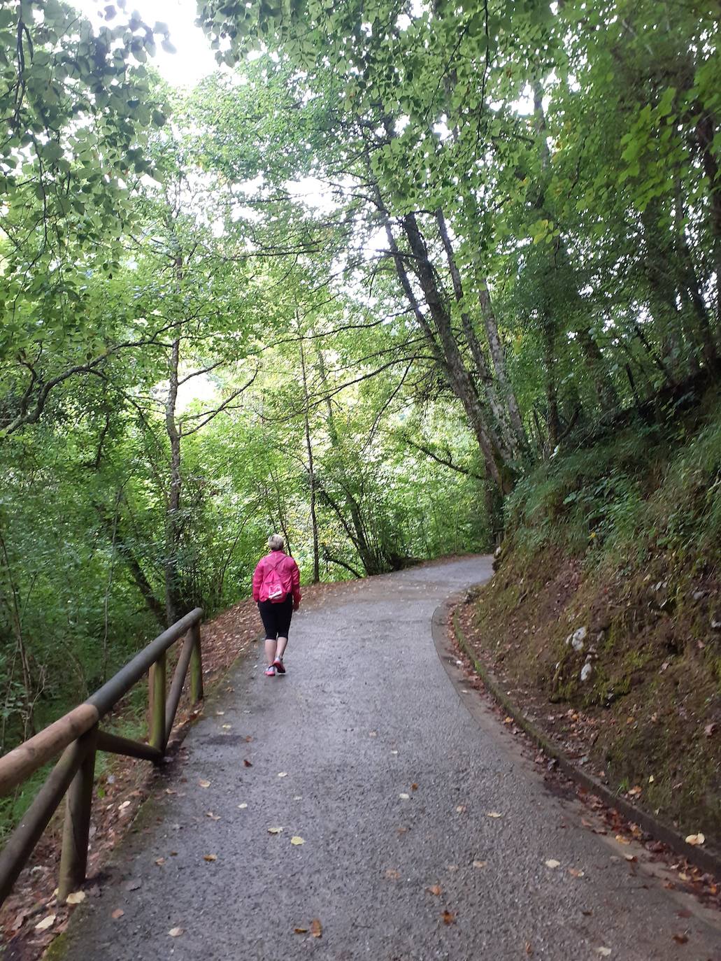 Fotos: Entre bosques encantados y ríos