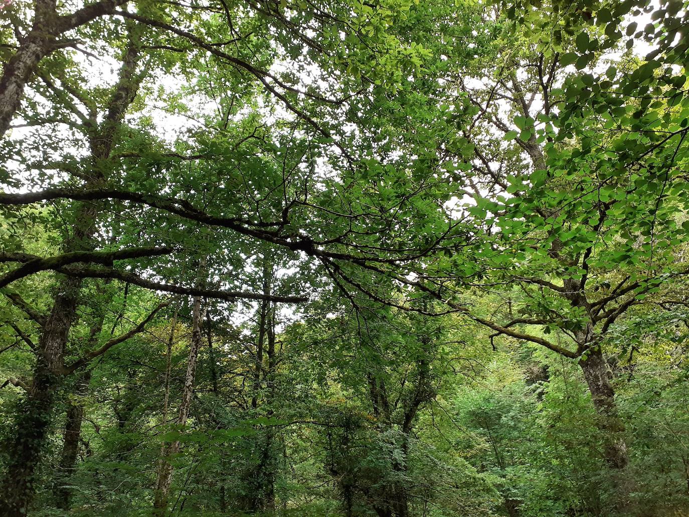 Fotos: Entre bosques encantados y ríos