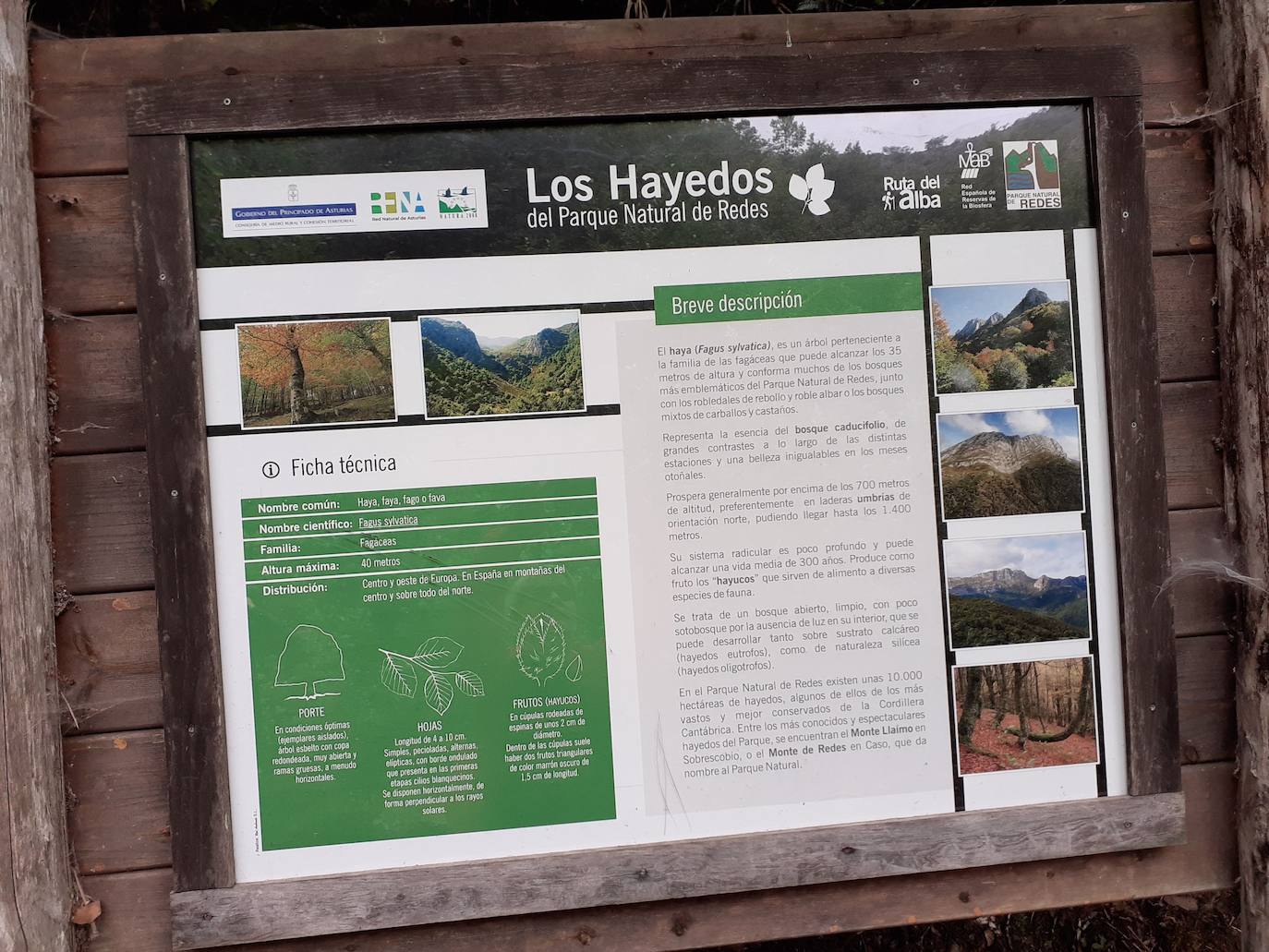 Fotos: Entre bosques encantados y ríos