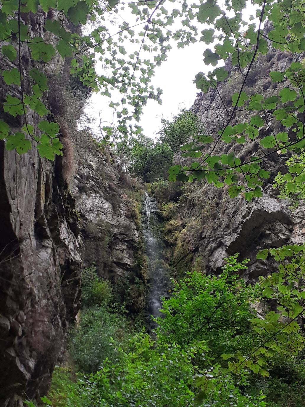 Fotos: Entre bosques encantados y ríos