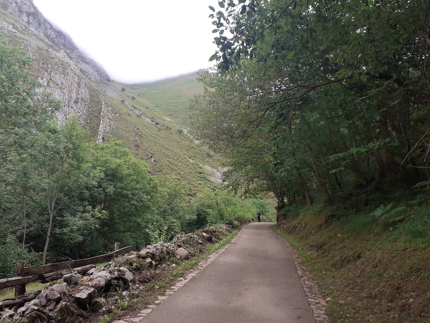 Fotos: Entre bosques encantados y ríos