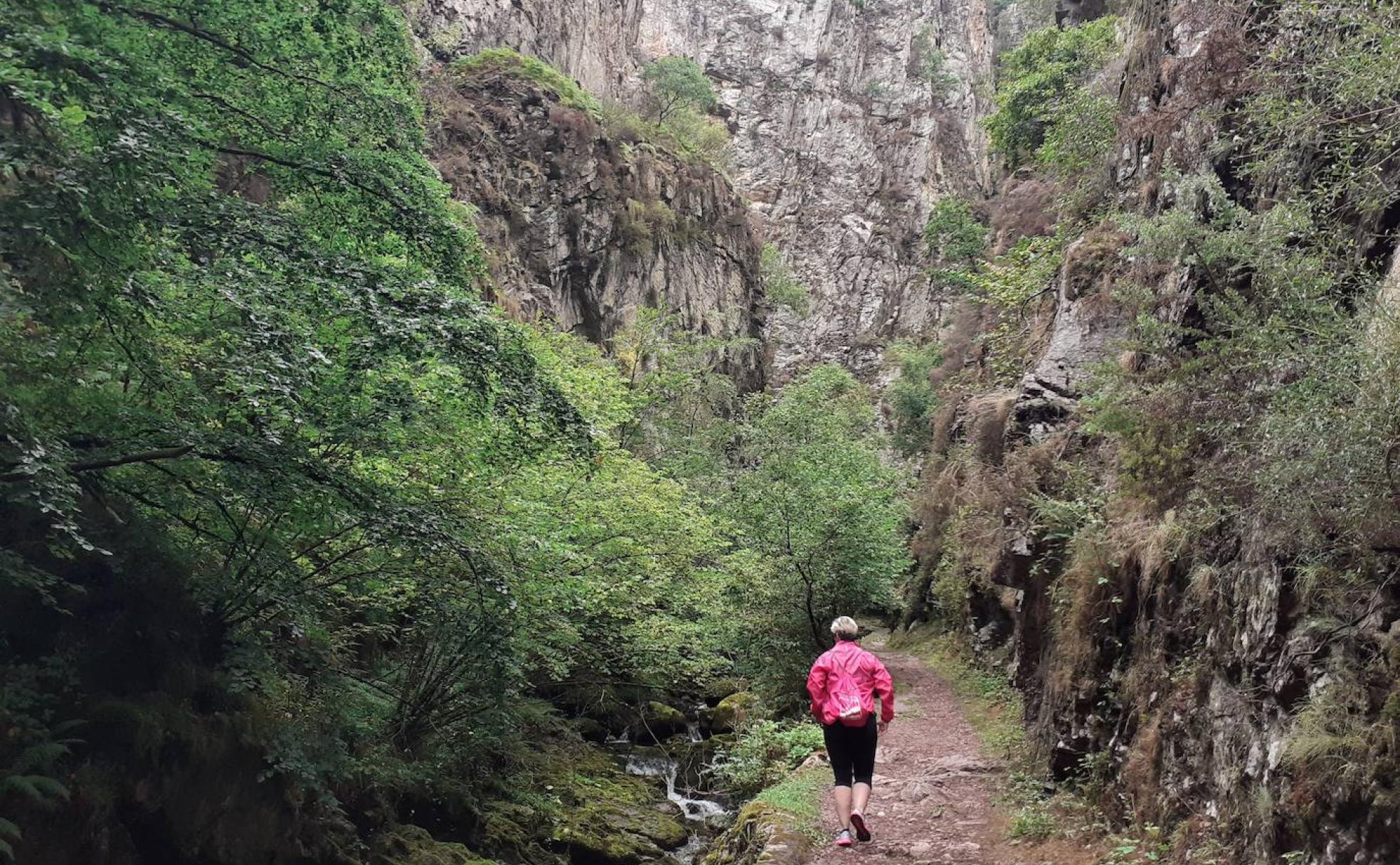 Redes, entre bosques encantados y ríos