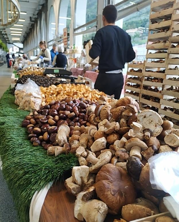 pUesto de Lasa, especializado en micológicas. 