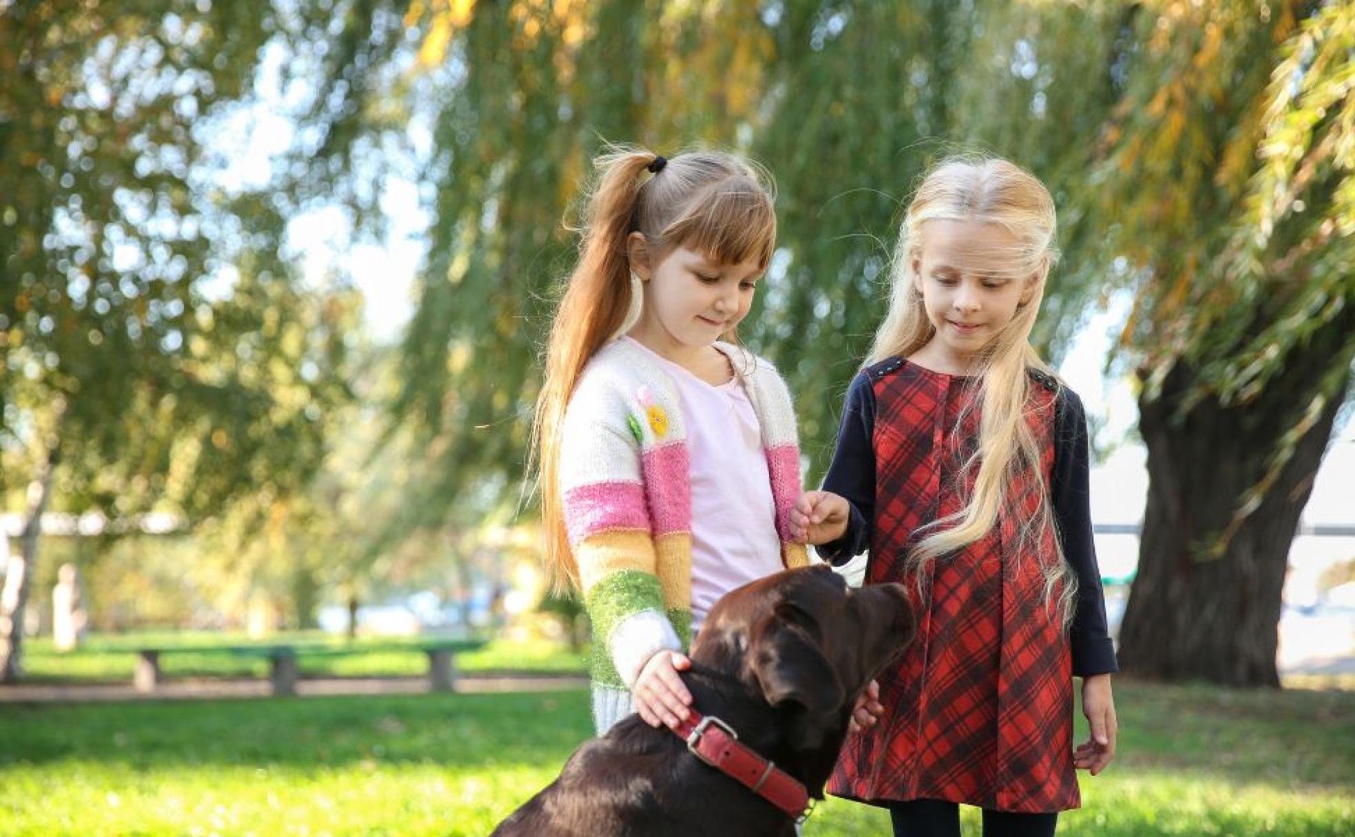 Dos niñas acarician a un perro, algo beneficioso para la actividad cerebral