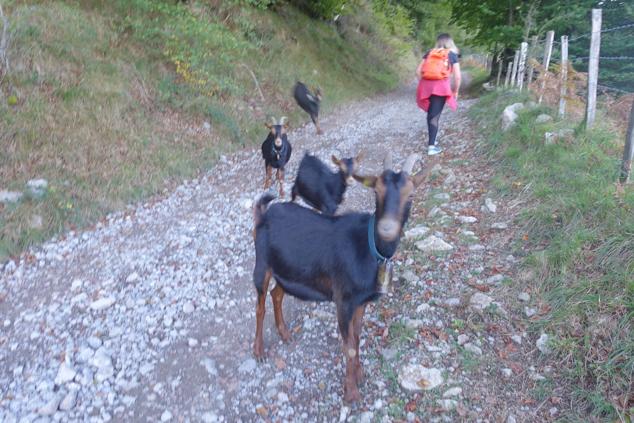 Fotos: Kurtzebarri, trio de damas