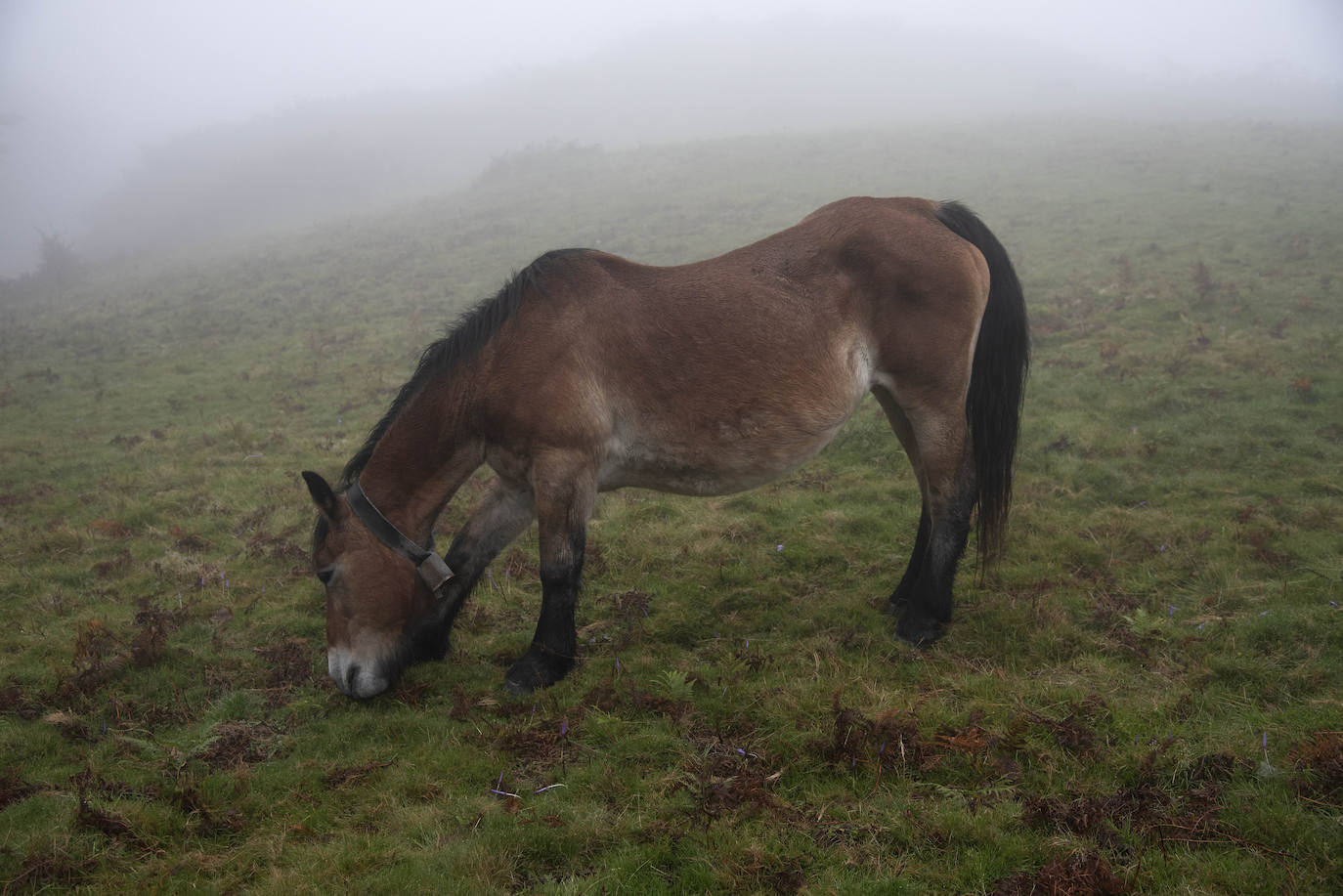 Fotos: Éxito en la salida a Oianleku de Mendira