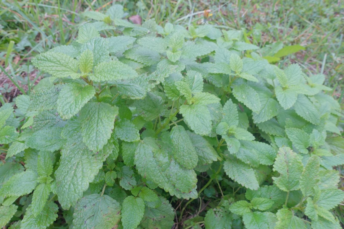 Fotos: Ruta a la cima de Belabieta