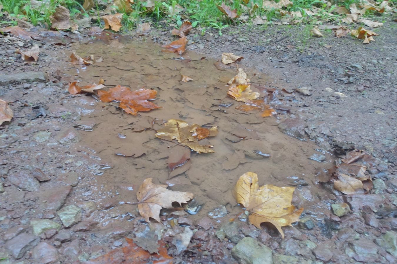 Fotos: Ruta a la cima de Belabieta