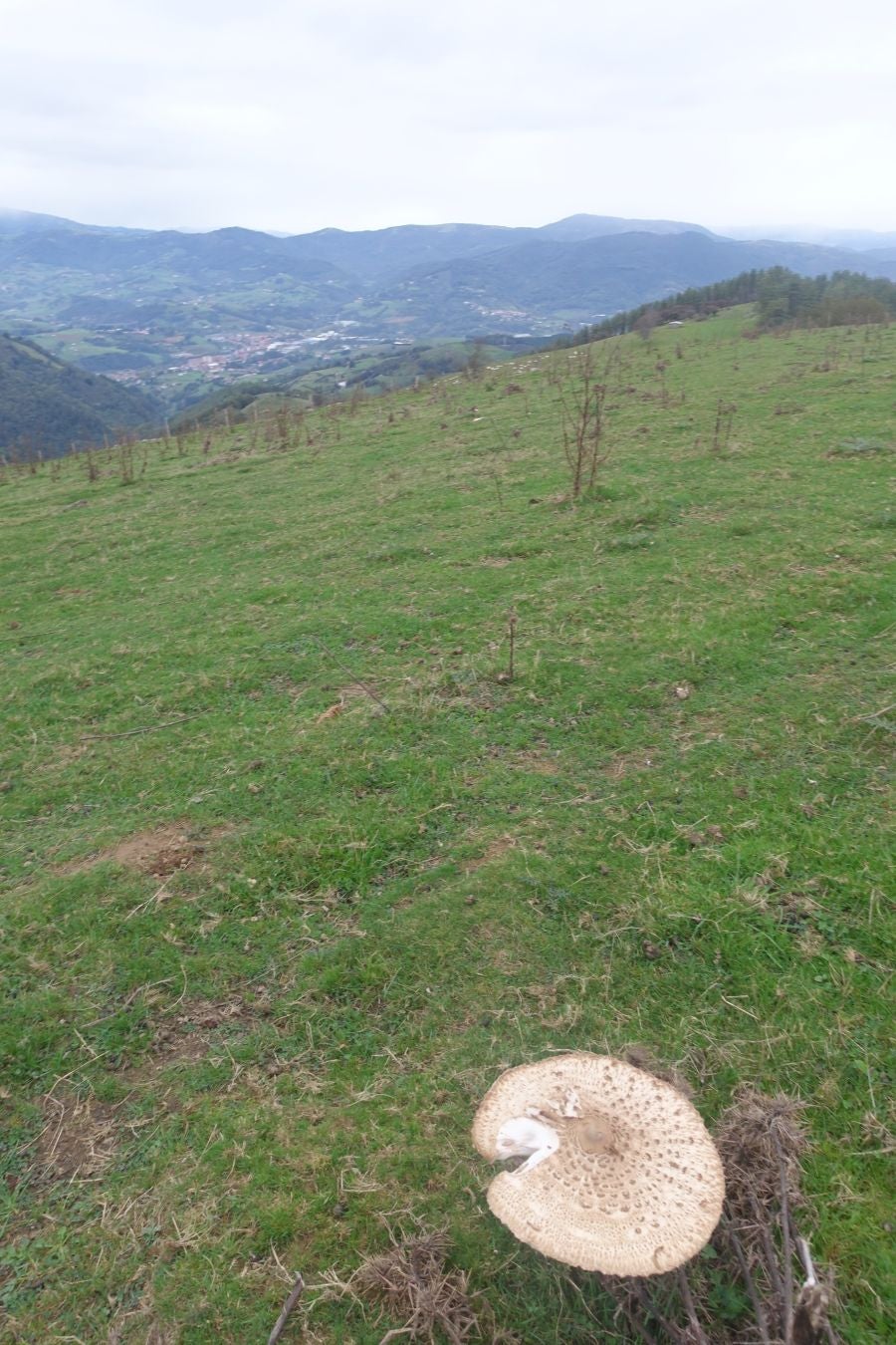 Fotos: Ruta a la cima de Belabieta