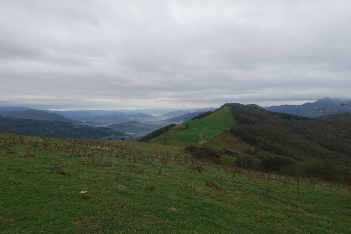 Fotos: Ruta a la cima de Belabieta