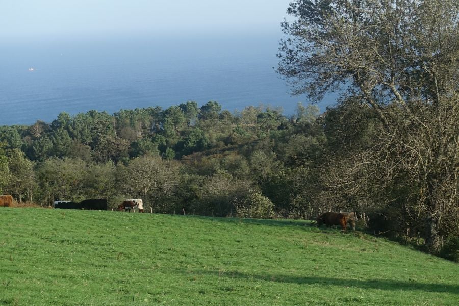 Fotos: Kukuarri: el perfecto mirador al Cantábrico