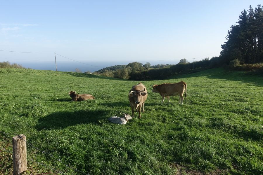 Fotos: Kukuarri: el perfecto mirador al Cantábrico