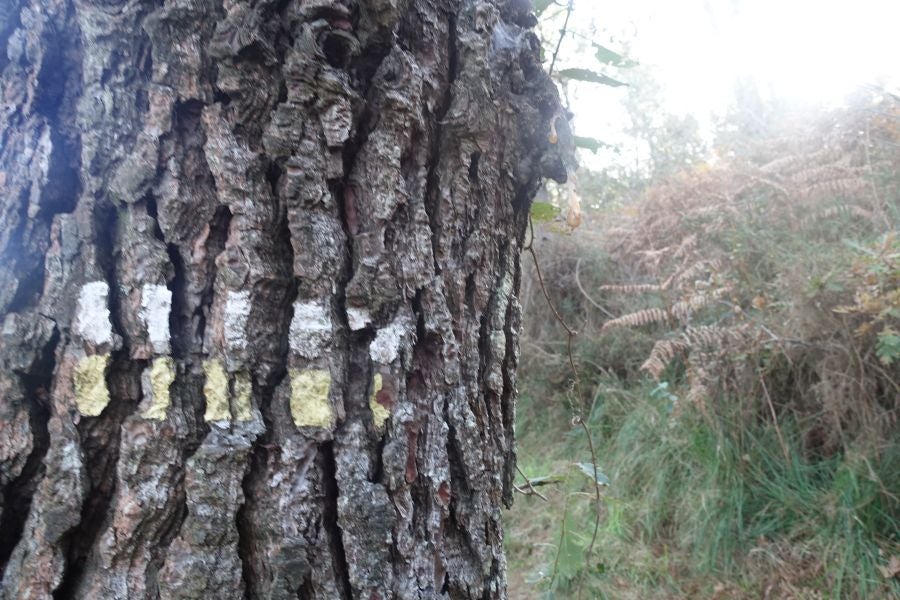 Fotos: Kukuarri: el perfecto mirador al Cantábrico