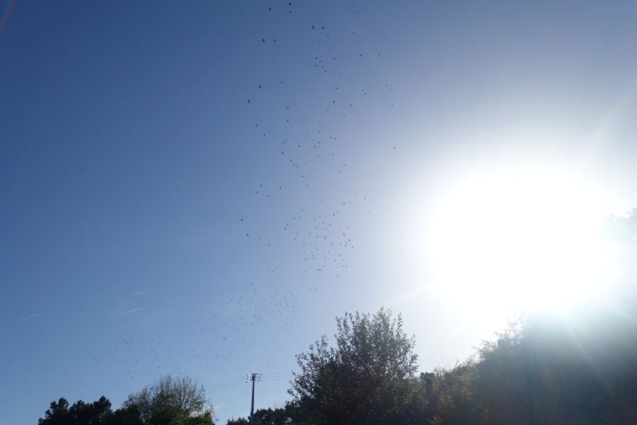 Fotos: Kukuarri: el perfecto mirador al Cantábrico