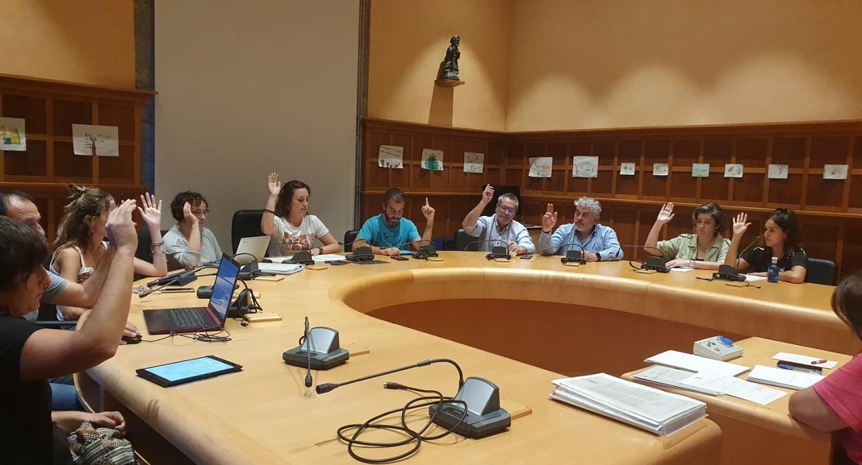 El Pleno aprobó por unanimidad varios de los puntos del orden del día, entre ellos, dos declaraciones institucionales. 