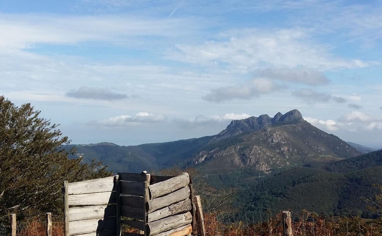 Puesto palomero en nuestro territorio.