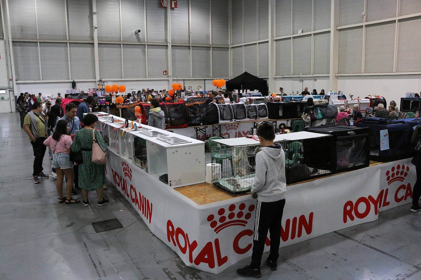 Fotos: XV Exposición Internacional Felina en Ficoba