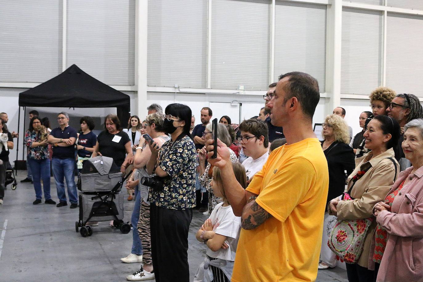 Fotos: XV Exposición Internacional Felina en Ficoba