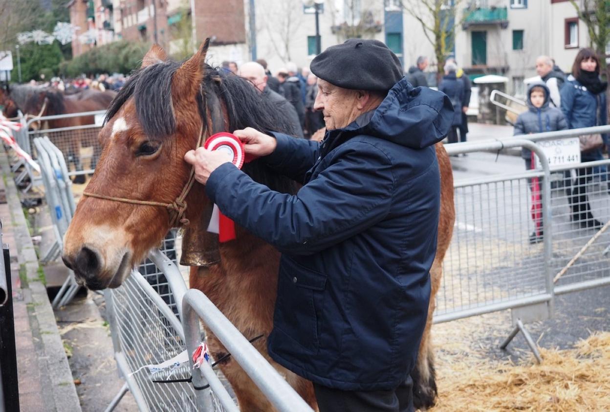 Uno de los caballos galardonados en la última edición de la feria de Santa Lucía, la de 2019. 