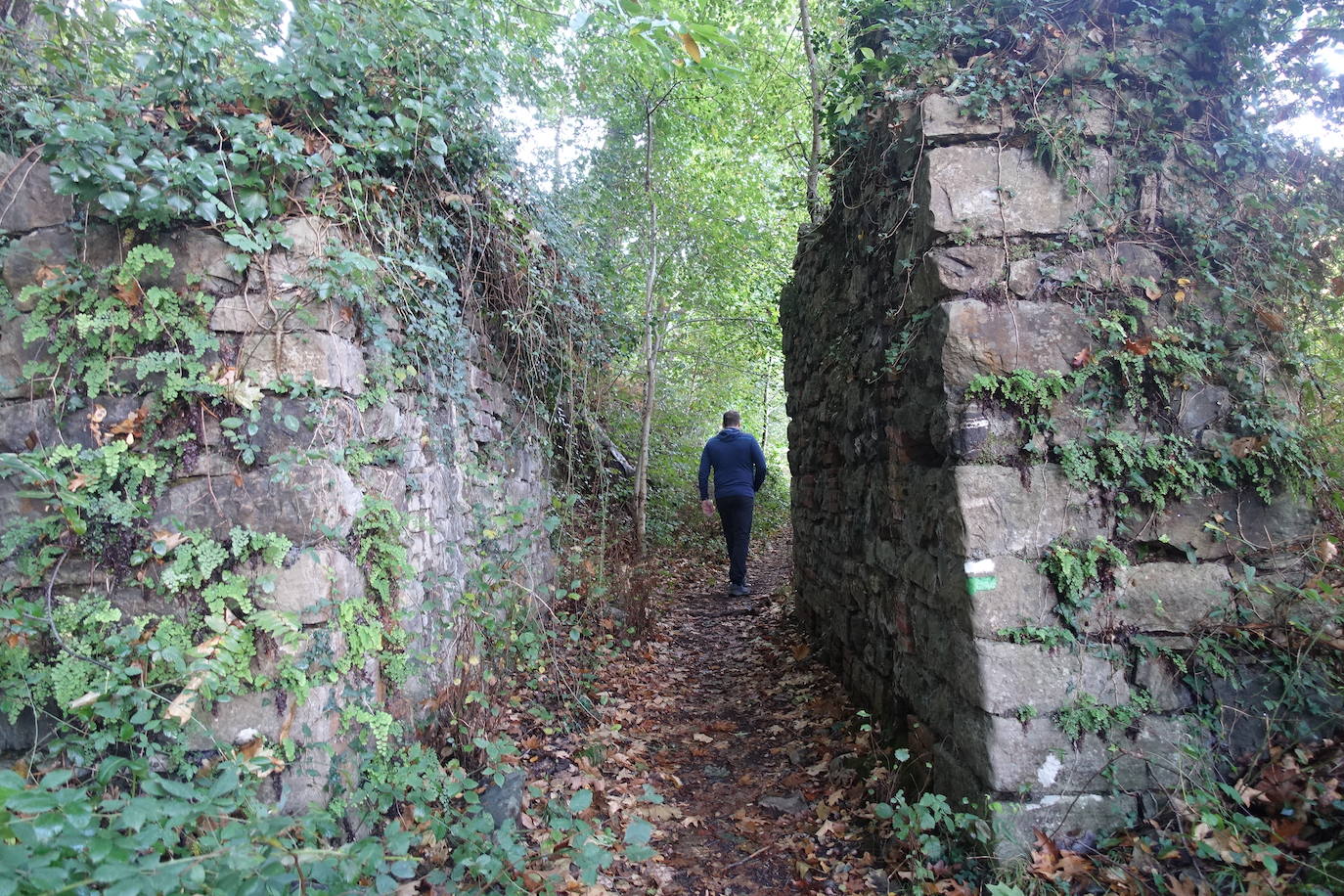 Fotos: Arburu, belleza natural gota a gota