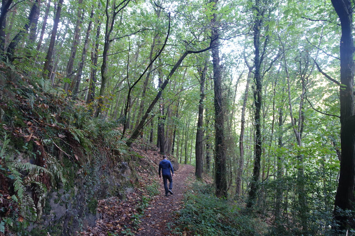 Fotos: Arburu, belleza natural gota a gota