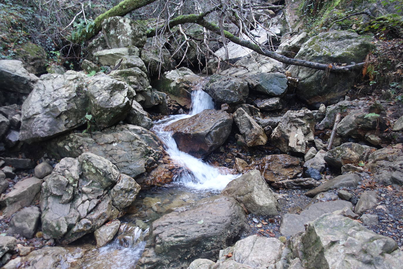 Fotos: Arburu, belleza natural gota a gota