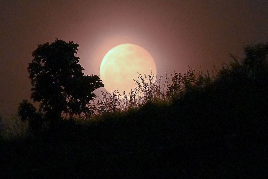 Fotos: Así se vio la luna de sangre