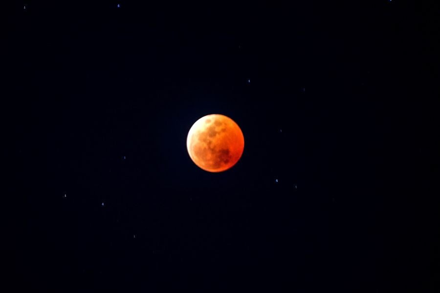 Fotos: Así se vio la luna de sangre