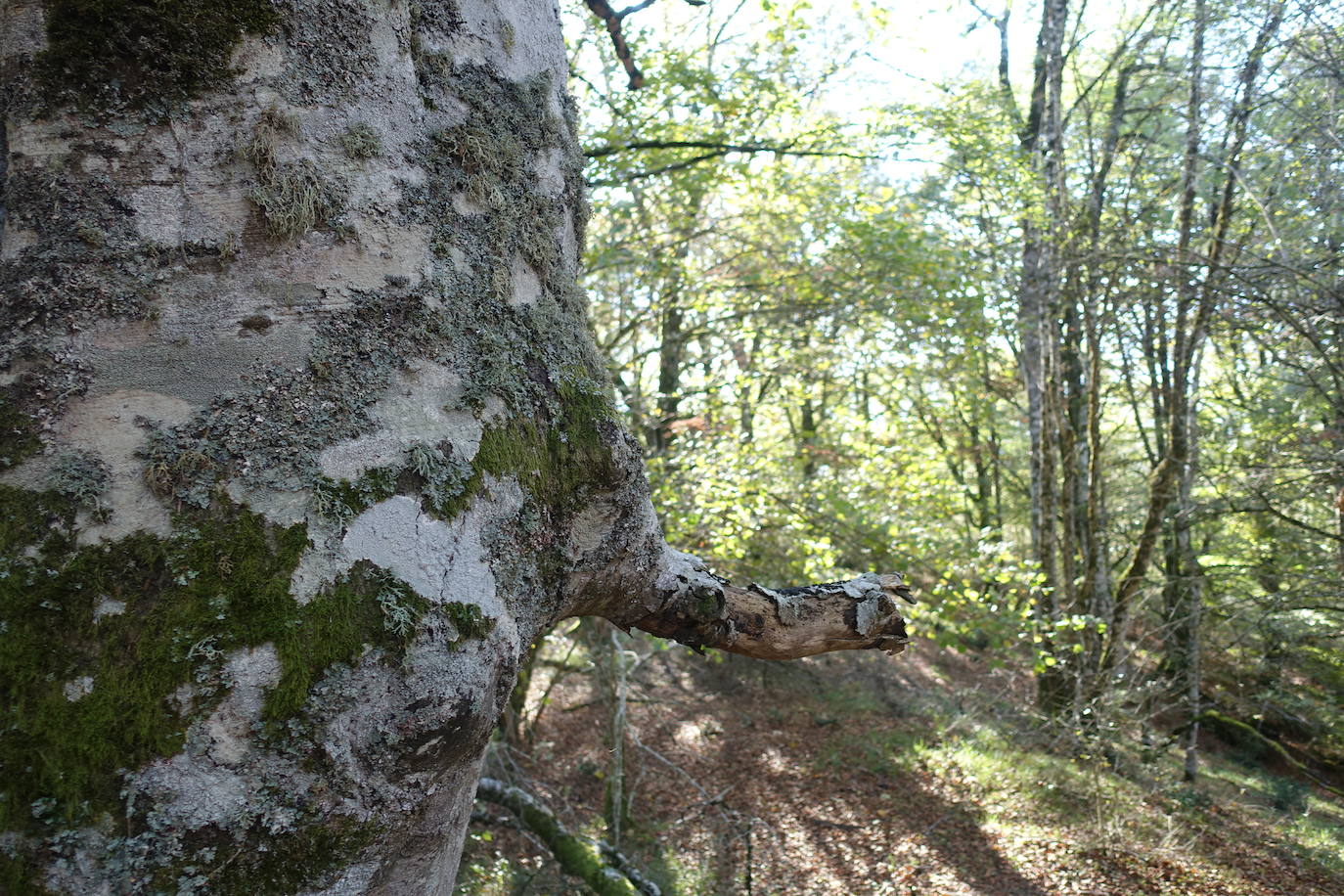 Fotos: Ata. El valle de las piedras encantadas
