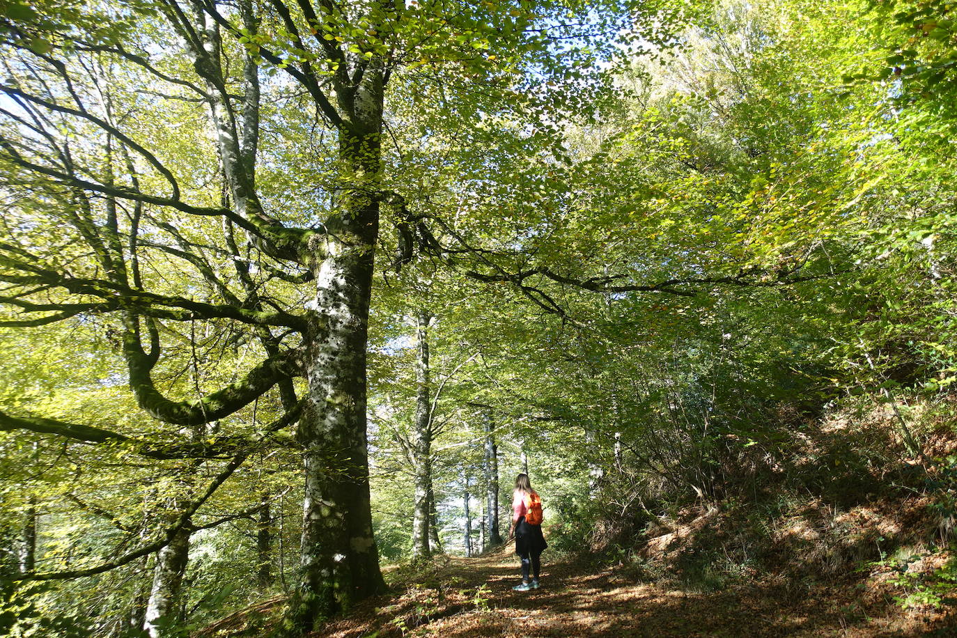Fotos: Ata. El valle de las piedras encantadas