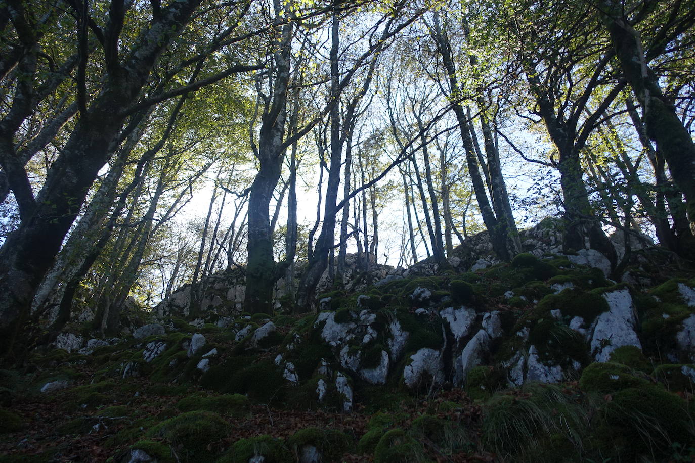 Fotos: Ata. El valle de las piedras encantadas