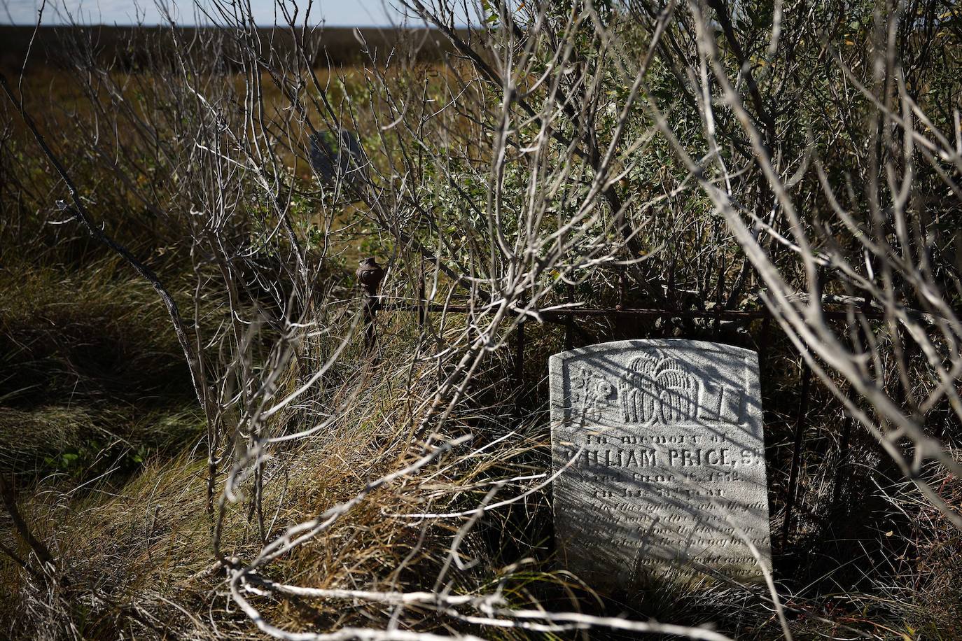 Fotos: El agua se come a las islas Chesapeake