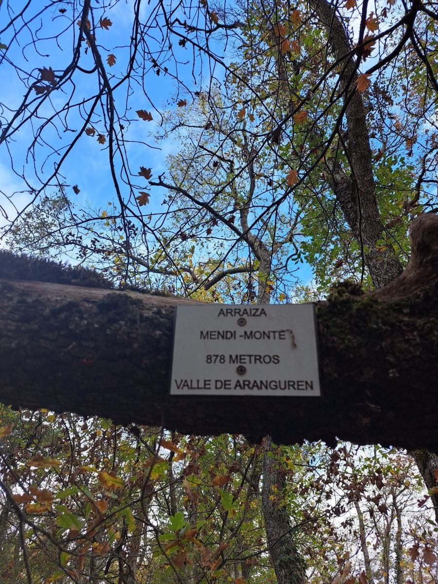 Fotos: Irulegi: impresionante balcón del reino